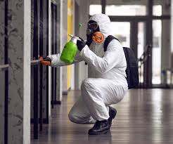 Best Commercial Mold Inspection  in Springville, VA